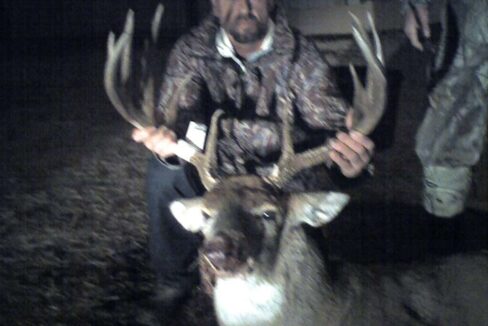 Buck 1