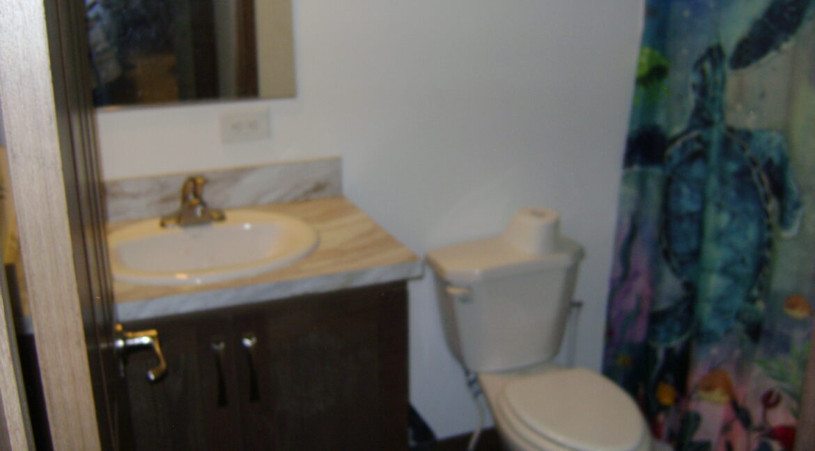 DSC00370