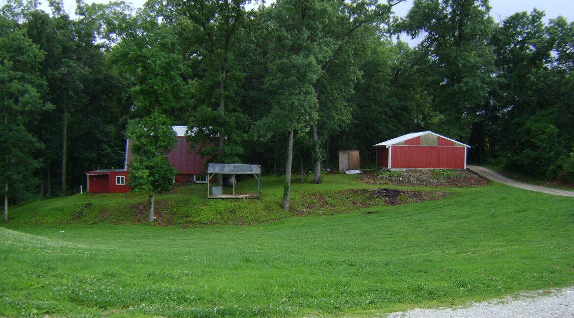 DSC00383