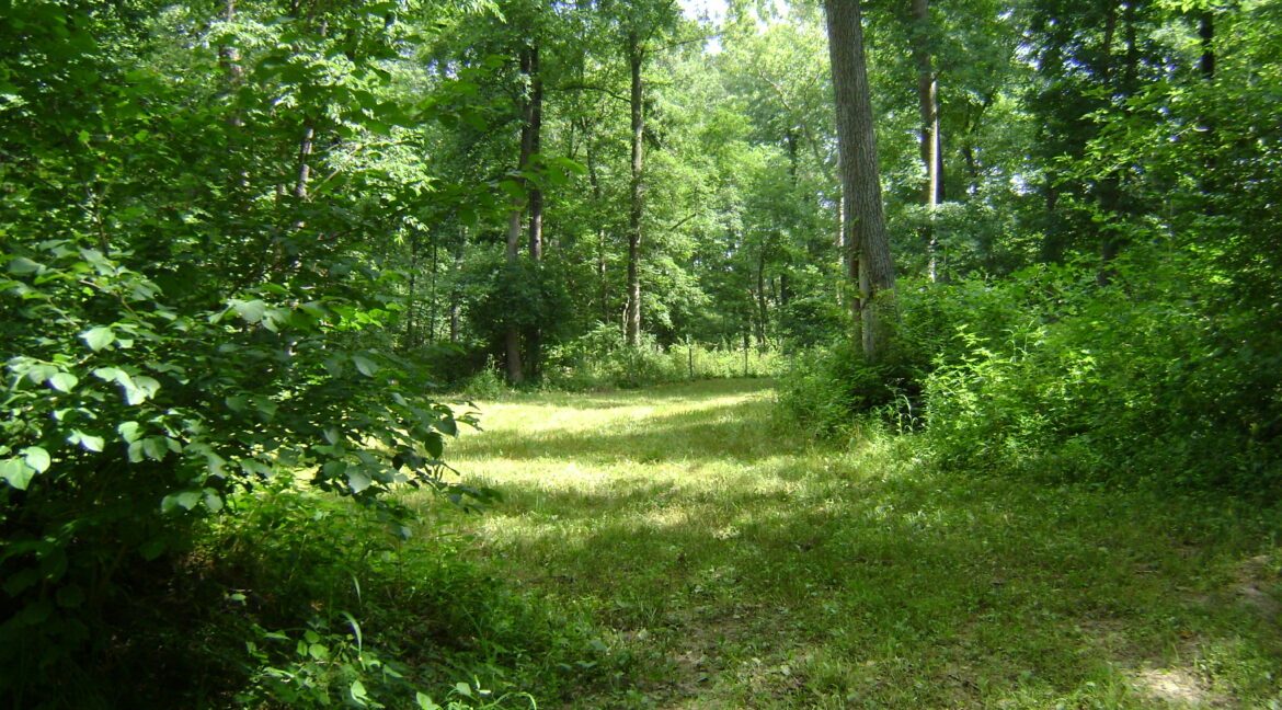 DSC00392