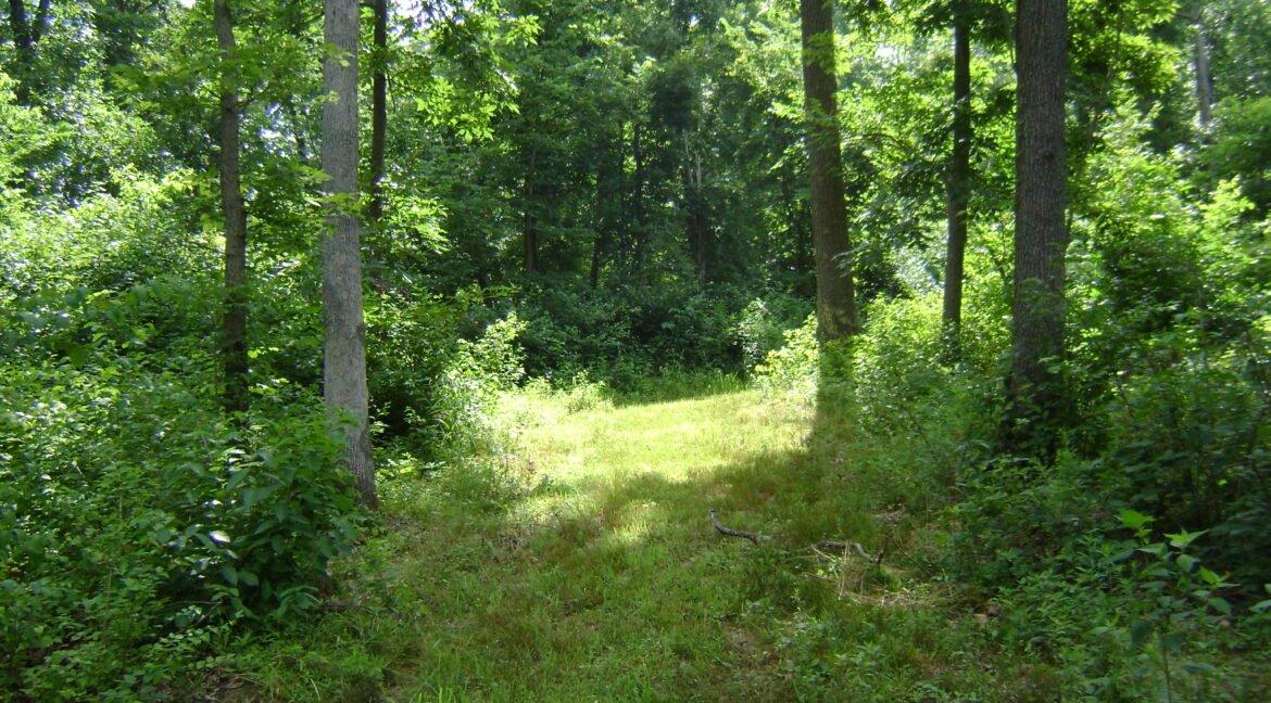 DSC00393