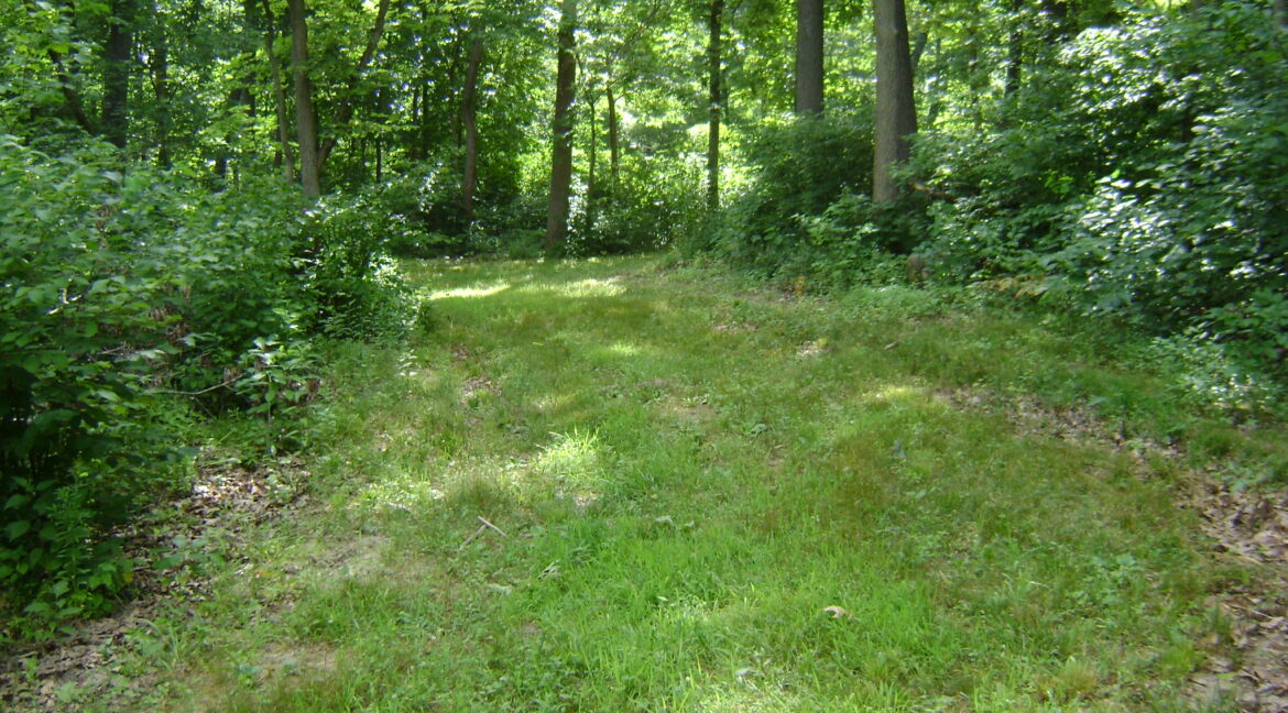 DSC00394