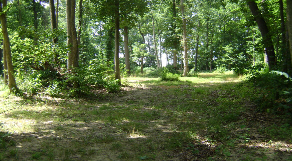 DSC00395