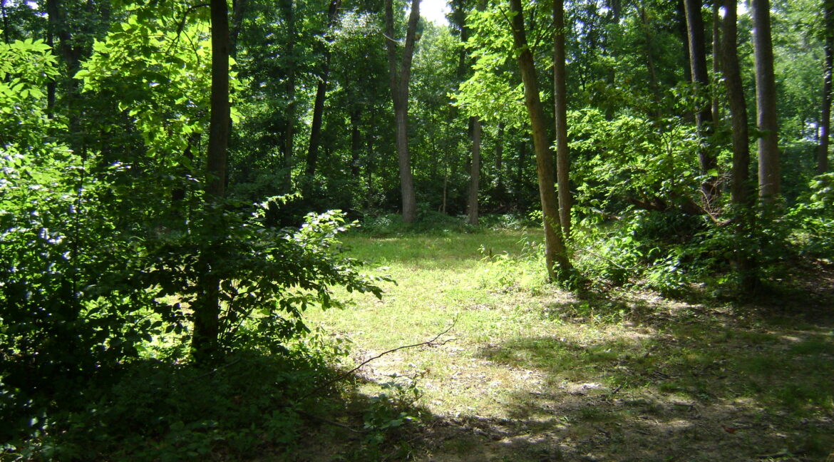 DSC00396