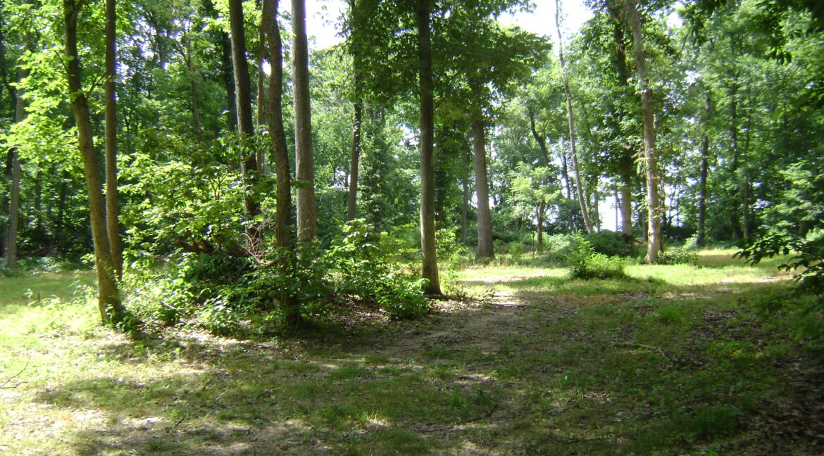 DSC00397