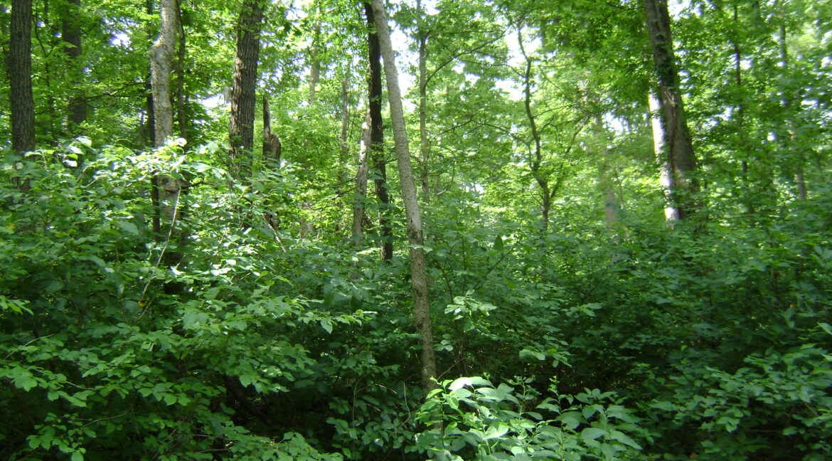 DSC00398