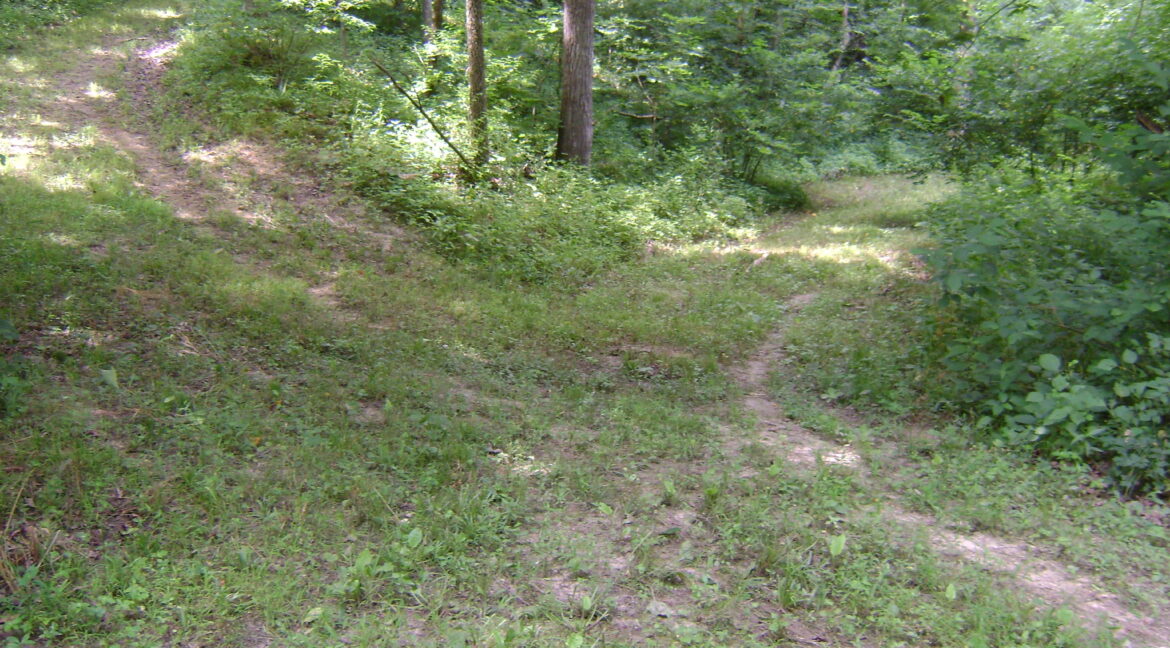 DSC00400